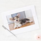 ペンブロークウェルシュコーギー子犬 長方形シール (封筒)