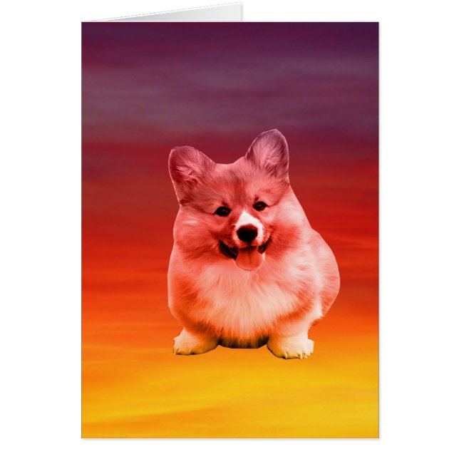 ペンブロークウェルシュコーギー座ってビーチ (正面)