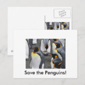 ペン救ギンだ！ポストカード ポストカード (正面/裏面)