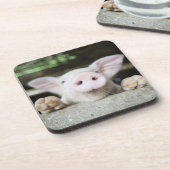 ペン、コブタのベビーのブタ コースター (左側)