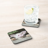 ペン、コブタのベビーのブタ コースター (右側)