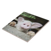 ペン、コブタのベビーのブタ タイル (側面)