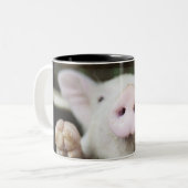 ペン、コブタのベビーのブタ ツートーンマグカップ (正面左)