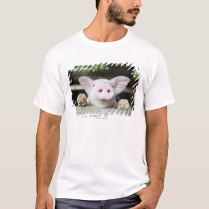 ペン、コブタのベビーのブタ Tシャツ