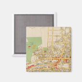 ペークスキル マグネット (正面/裏面)