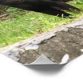 ペーシング・パンザー・ポスター ポスター (角)