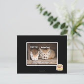 ページ表示オプション ポストカード (スタンド正面)