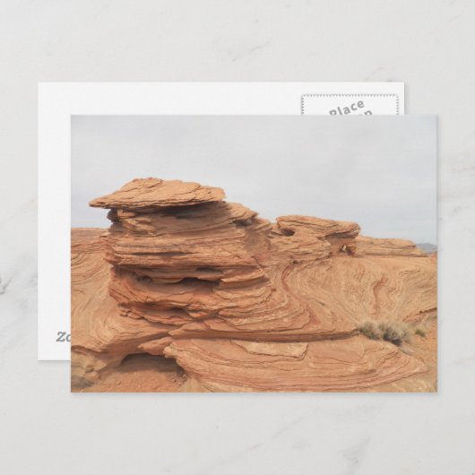 ページ ポストカード (正面/裏面)