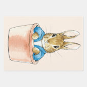 ペーターザラビットインプラントポット ラッピングペーパーシート (正面)