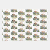 ペーターザラビットバルーン第1誕生日 ラッピングペーパーシート (正面3)