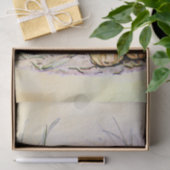 ペーターラビット（玉ねぎ）ティッシュペーパー 薄葉紙 (ギフト)