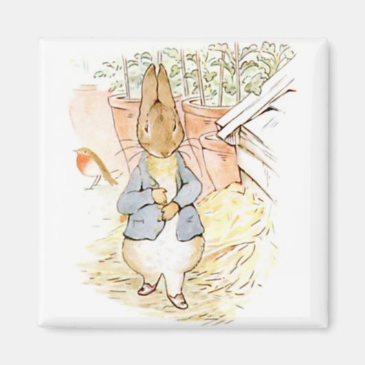 ペーターラビットin the Garden (by Beatrix Potter) マグネット (正面)