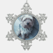 ペーター・スノーフレーク・オラナ