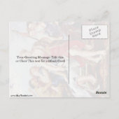 ペーター・ポール・ルーベンスによる朝のダイアナとニンフ ポストカード (裏面)