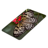 ペーパーキートチョウ マグネット (左側)