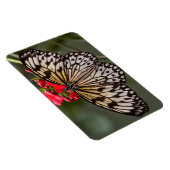 ペーパーキートチョウ マグネット (右側)