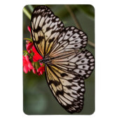 ペーパーキートチョウ マグネット (縦)