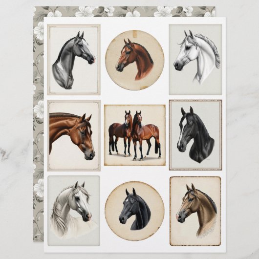 ペーパークラフト用の美しい馬のイラスト (正面/裏面)