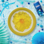 ペーパープレート (パーティー)