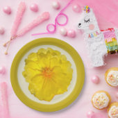 ペーパープレート (パーティー)