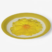 ペーパープレート (アングル)