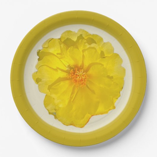 ペーパープレート (正面)