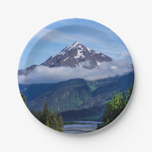 * ペーパープレート (正面)