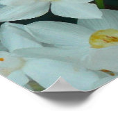 ペーパーホワイトナルキスプリント ポスター (角)