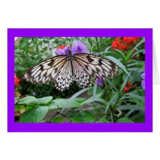 ペーパー凧の蝶