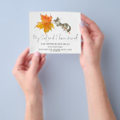 ペーパー |私のおもしろい猫はScript New Homeを引っ越した (手)