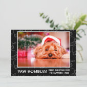 ペーペットのペット写真ブラック シーズンカード (スタンド正面)