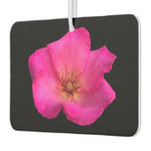 ペ感じンバラ カーエアーフレッシュナー (左)