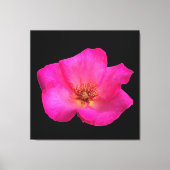 ペ感じンバラ キャンバスプリント (正面)