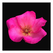 ペ感じンバラ フォトプリント            (正面)