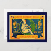 ホアキンオレンジ ポストカード (正面/裏面)