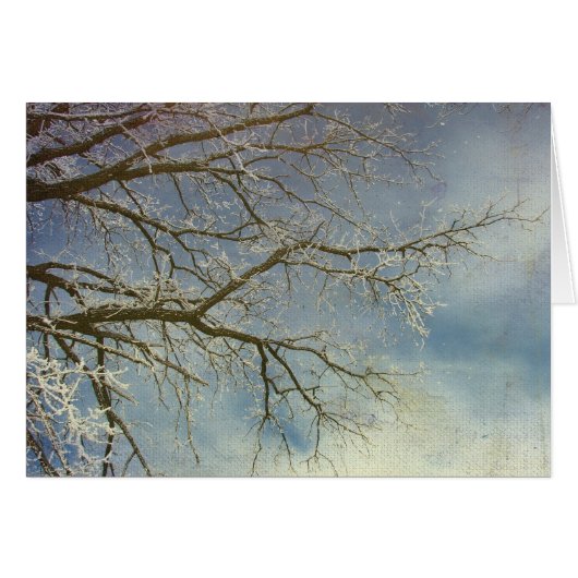 ホアフロスト新年おめでとう！ (正面横)