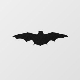 ホアリのこうもり ウィンドウサイン