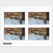 ホアリー・マーモト(ホイスラー)野生生物ステッカー 長方形シール (シート)