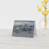 ホィニング・シーガル カード (黄色い花)