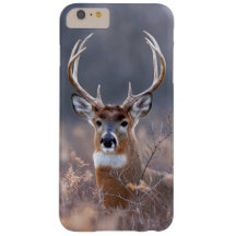 ホイエレガントトテイルディアウィンターシーズンの写真