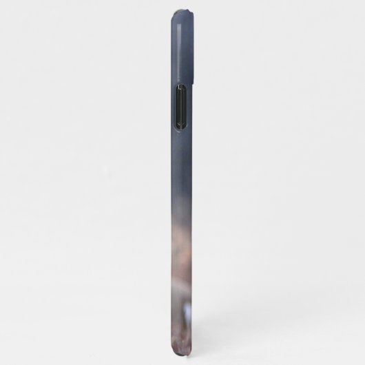 ホイエレガントトテイルディアウィンターシーズンの写真 iPhoneケース (右側)