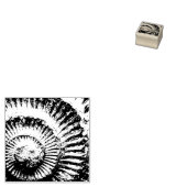 ホイットバイアンモナイト ラバースタンプ (押印)