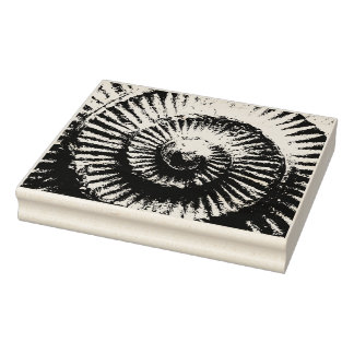 ホイットバイアンモナイト ラバースタンプ