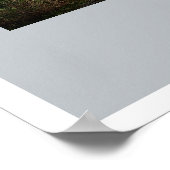 ホイットビーアビー ポスター (角)