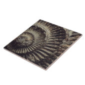 ホイットビー・アンモナイト型大型 タイル (側面)