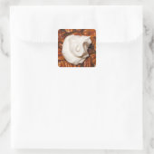 ホイップクリームでペカンパイを閉じる スクエアシール (バッグ)