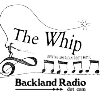 ホイップドライビングアメリカンルーツミュージックロゴティー Tシャツ