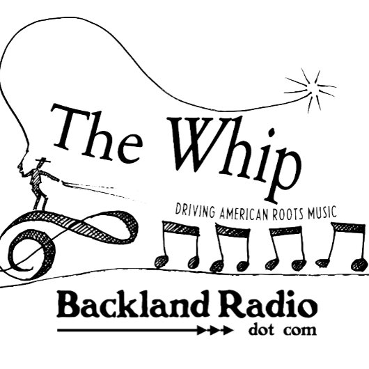 ホイップドライビングアメリカンルーツミュージックロゴティー Tシャツ