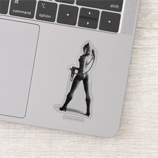 ホイップ付きキャットウーマン シール (詳細)