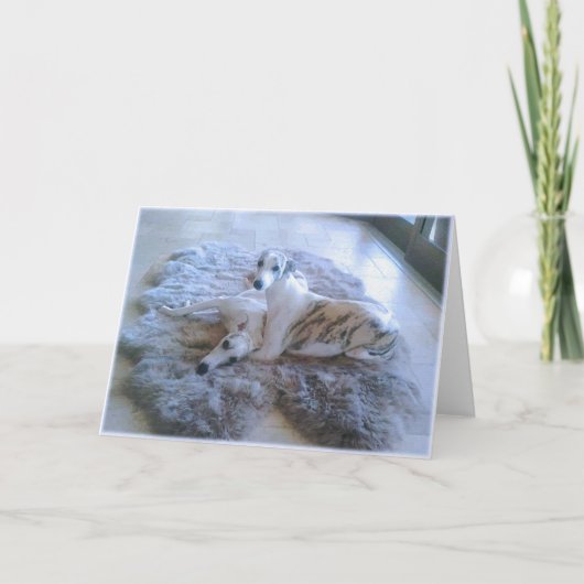 ホイッペット犬 カード (正面)